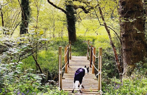 Cullompton RV Rental | Little bridge Camp.nSecluded camping in 13 acres of magical meadow and woodland.