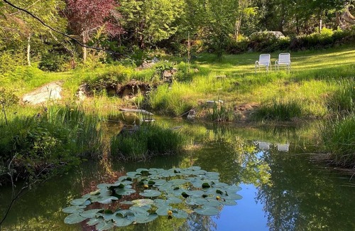 Sunshine Coast Cabin | Little Cabin in Middlepoint, nNestled amongst cedars on a private quiet acreage.