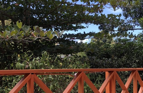 Castara Cottage | Little Cozy cottage in Castara (LGBTQ friendly)