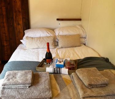 Llanybydder Apartment | Little Dolwen - Sioned