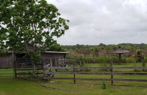 Perry House | Little Fish House Casita de Peces Sugar Sand Farm
