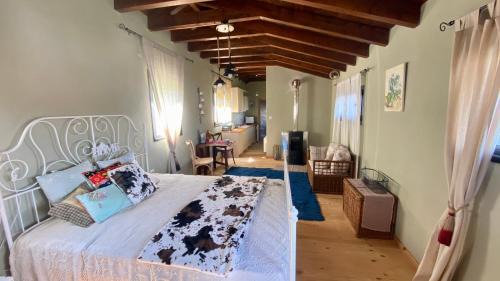 Aetia Apartment | Little Garden cabin