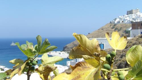 Astypalaia Apartment | Little Garden