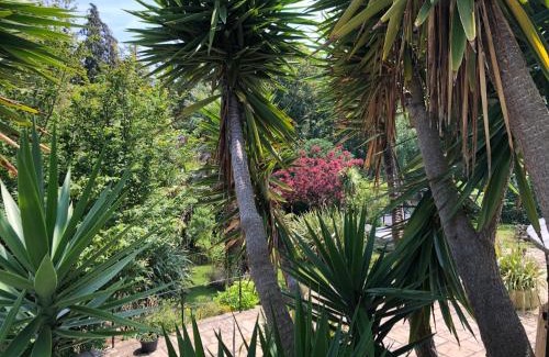 Shanklin Apartment | Little Gem with Private Hot Tub - Up to 25 percent off ferry