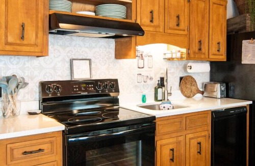 Beech Mountain Apartment | Little Green | AC, Fireplace, Walk to Beech Ski