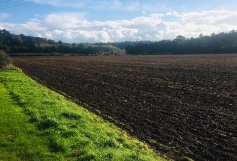 Elkesley House | Little Homestead