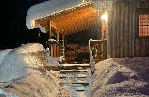 Harvard Cabin | Little House In The Big Woods!