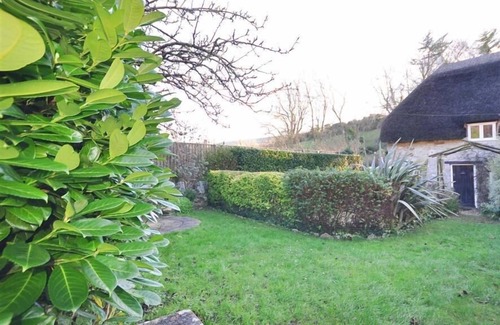 West Lulworth Cottage | Little Ivy