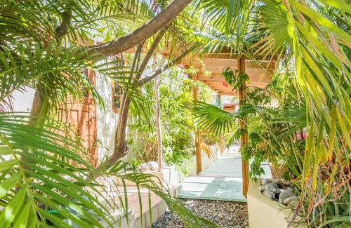 Palm Beach Hotel | Little Jungle Apartments Aruba