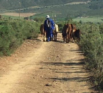Barrydale House | Little Karoo dream