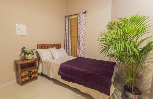 Bengaluru House | Little Liz