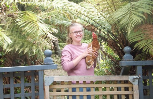 Dunollie Bed & Breakfast | Little Paradise & Petting Farm