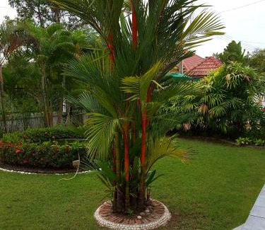 Rayong House | Little Paradise
