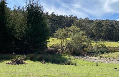 Alonnah House | Little Pardalote Tiny Home Bruny Island