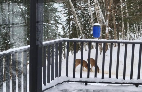 Chute-Saint-Philippe Ski Chalet | Little piece of paradise