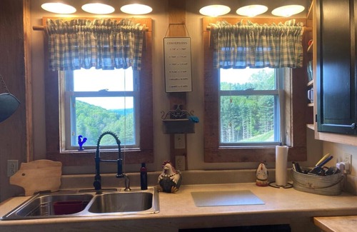 Mouth of Wilson Apartment | Little Private Cabin-Near Grayson Highlands