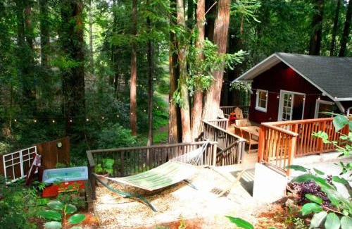 Northwood House | Little Red House Plus! Redwoods! Hot Tub! BBQ Grill! Fast WiFi! Near Golf Course! Dog Friendly!