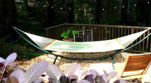 Northwood House | Little Red House! Redwoods! Hot Tub! BBQ! Fast WiFi! Multiple Decks! Near Golf Course! Dog Friendly!