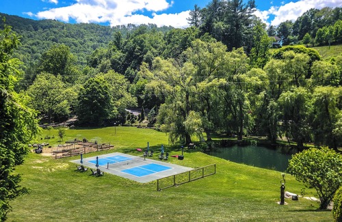 Sugar Grove Cabin | Little-River-Petting Zoo-Stream-Pickleball?, Private Petting Zoo Cabin and Hot Tub