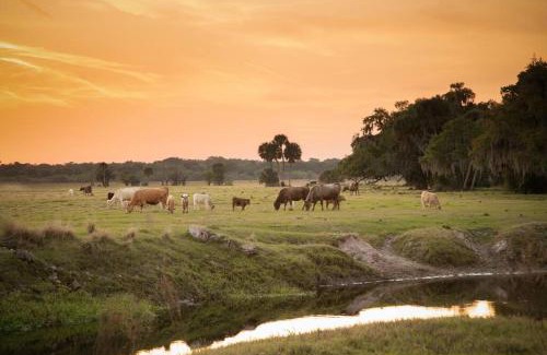Myakka City House | Little Siesta - Farm home near Terra Nova