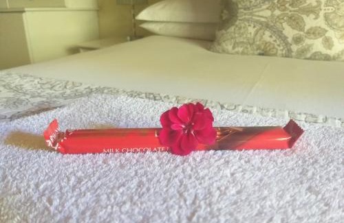 Uitenhage Apartment | Little Tree Loft