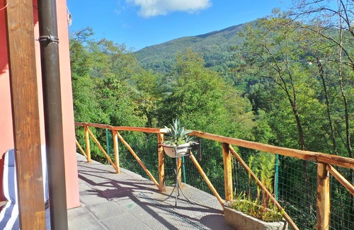 Pescia Apartment | Little Tuscan Olive Farm - Cosy Apartment