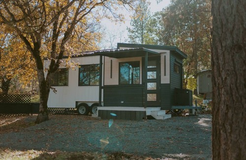 Central Point Apartment | Little Wolf Tiny Home cozy, pet friendly, secludednn