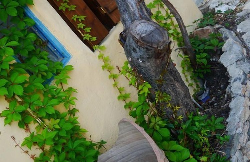 Alonissos House | Little Yellow House With Beautiful Sea View
