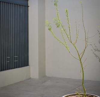 Ciudad Obregon Apartment | LiV109 Norte Depa 2 Cd Obregon
