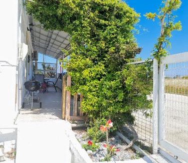 Theologos House | Livadi house