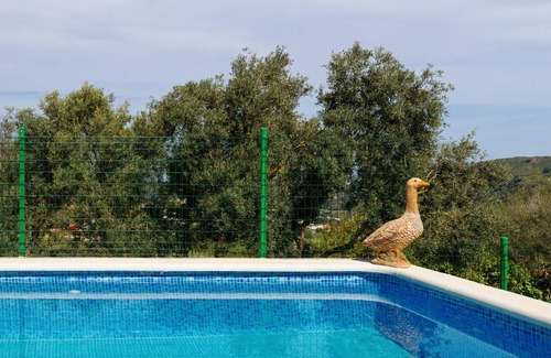 Santa Brigida Apartment | LIVE FINCA GAMONAL BJ 3