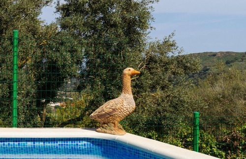 Santa Brigida Apartment | LIVE FINCA GAMONAL BJ 5