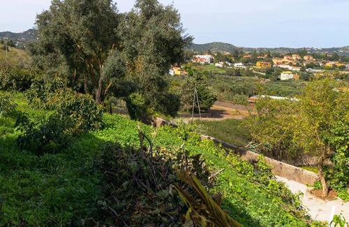 Santa Brigida Apartment | LIVE FINCA GAMONAL BJ 5