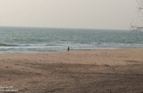 Malvan House | Live young, live free.