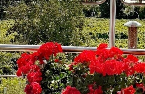 Freinsheim House | Lively apartment in Freinsheim