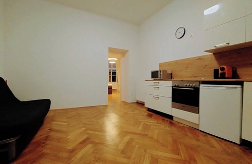 Baden Apartment | Living in Baden's pedestrian zone - Villa Jahn