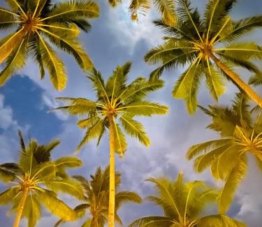 Sumbawa Barat Hotel | Living On Air