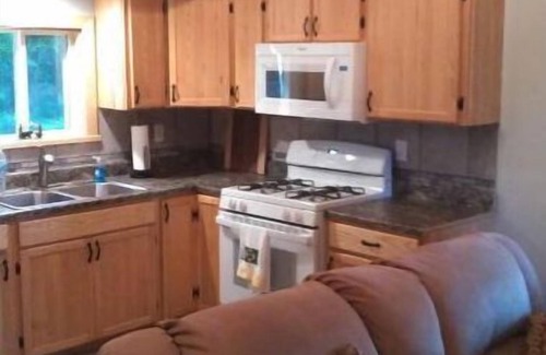 Dansville Cabin | Livingston cabin