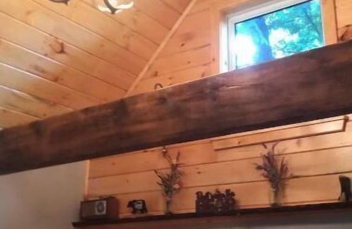 Dansville Cabin | Livingston cabin