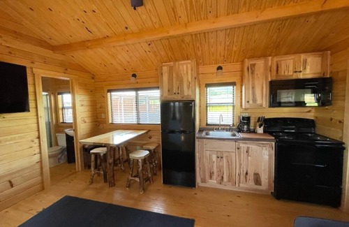 Scottsboro Cabin | LIZARD CABIN