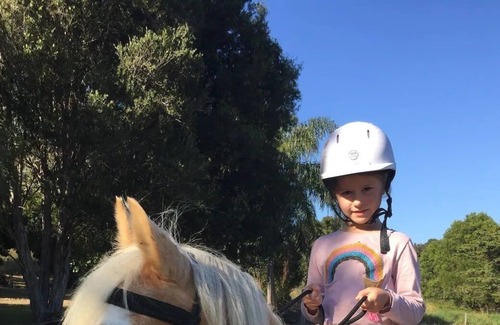 Pinbarren Cabin | Lizard Lodge Farmstay-Families-Horse Riders-Nature