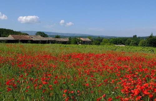 Lioux Bed & Breakfast | Ll POULIDETTO
