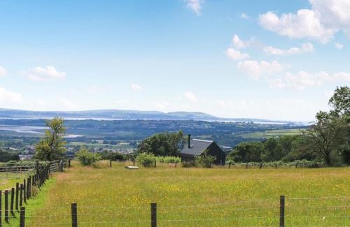 Pontardulais House | Llandremor Fawr Lodge - Uk50336