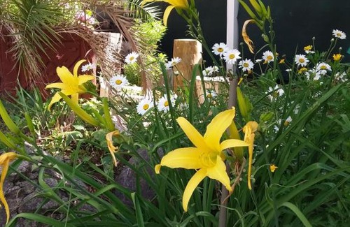 Embalse House | Lo de Lily