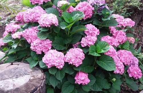 Embalse House | Lo de Lily