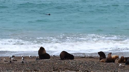 Canadon Seco Other | Lo de Simon- Cabañas
