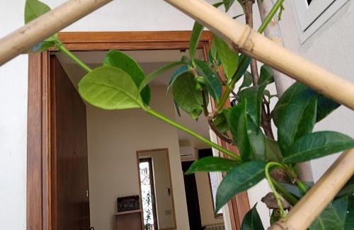 San Giorgio del Sannio Bed & Breakfast | Lo SCRIGNO