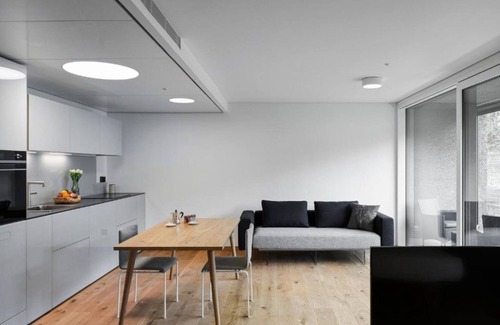 Stabio Apartment | Lo Scudo di Stabio - 50 m² vineyard view LST