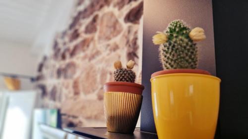 Enas House | Lo Stazzo della Dottoressa