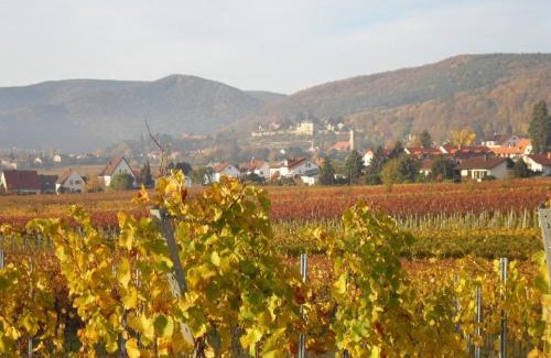 Gimmeldingen Apartment | Loblocher Max und Moritz